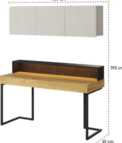 Meble Młodzieżowe|Zestawy Mebli Młodzieżowych>lenart. Zestaw nowoczesnych mebli młodzieżowych z biurkiem TEEN FLEX